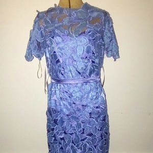 Beautiful Blue Mesh Gown with lily pattern Must see!